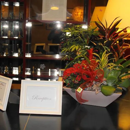Hasta فندق